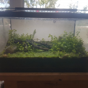 20L reconverti