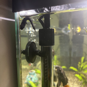 Publication de Junior1306