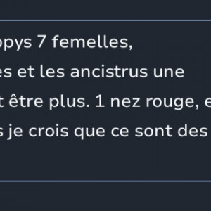 Publication de T.girault32