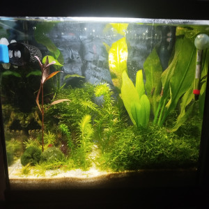 Publication de Master-02