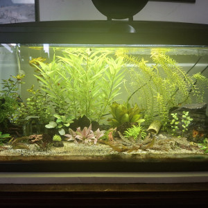 80L