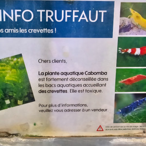 Publication de Stev_77