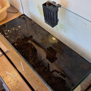 Publication de ArtemusKlegg