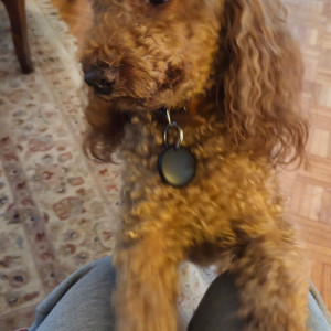 Egidio