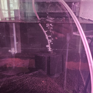 Publication de Stev_77