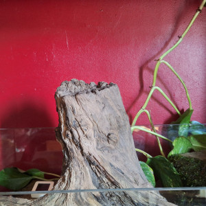 Publication de ArtemusKlegg