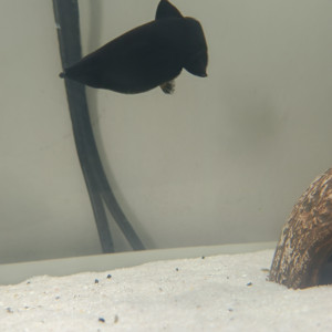 Publication de MaelyaAaron