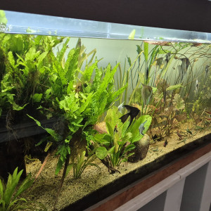 Publication de Vivian43