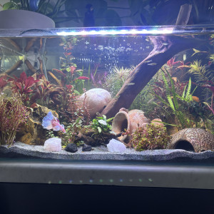 Tank AQUAEL 60 Opale
