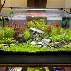 Publication de Gre_nouill666