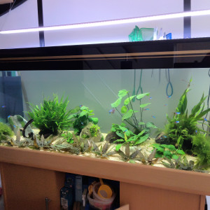 240L