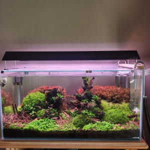 Cuve 112L Aquael