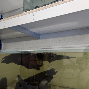 Publication de Thomas59210