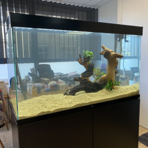 Aquarium 200litres