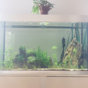 Publication de Argael