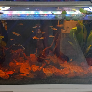 Publication de mikey