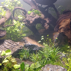 Publication de Bbrouget