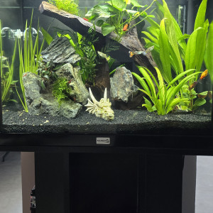 Publication de Stephane83