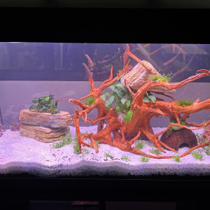 Publication de N3okron