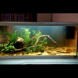 85l Blackwater Amazonien