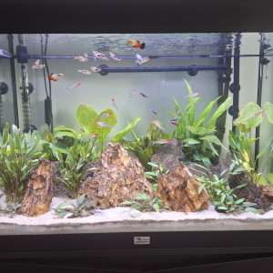 Publication de Guiguidu57