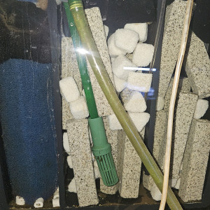 Publication de Max79