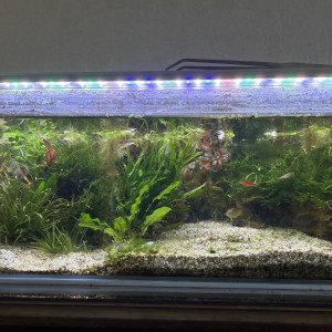 Publication de Bulles