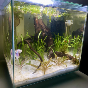 Publication de Jaderlh96