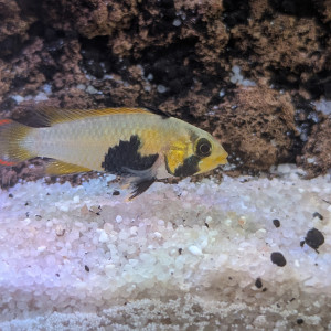 Publication de Stephane06580