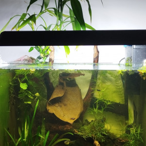 Publication de Olivier1977