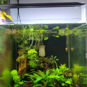 Publication de Olivier1977