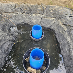 Publication de Max79