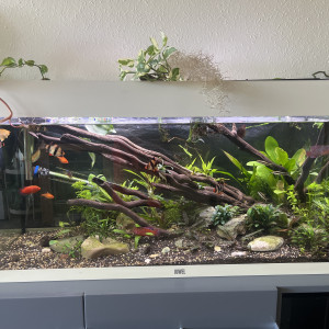 Publication de ThomasTZ1