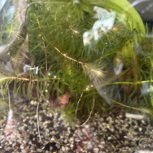 Publication de AudreyGtfs