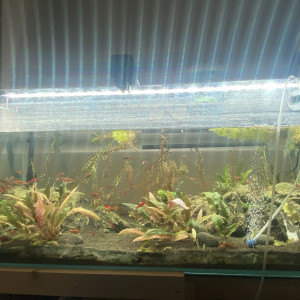 Publication de Emma1234