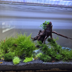 Publication de cecile1170751