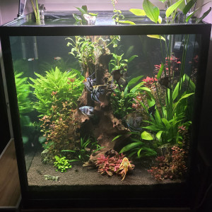 Publication de MAX.1208