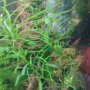 Publication de lolo95