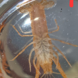 Publication de maxu37