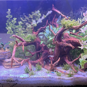 Publication de N3okron