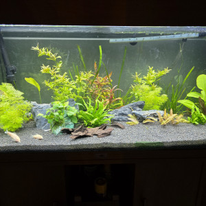 Publication de NoisyMoonmoon