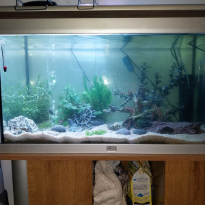 Publication de Yoshi971