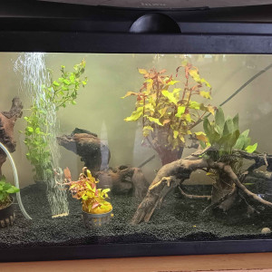 Publication de Gorthak