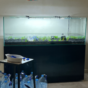 Publication de LaRenardouce