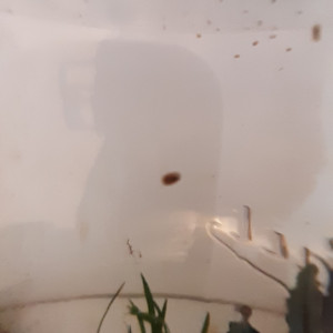 Publication de lolito77