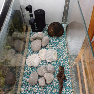 Aquarium 20L équipé sol neutre gravier blanc et bleu