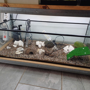 Aquarium 80L entièrement équipé