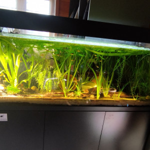 Publication de Orion07