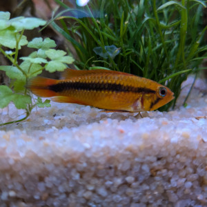 Publication de Stephane06580