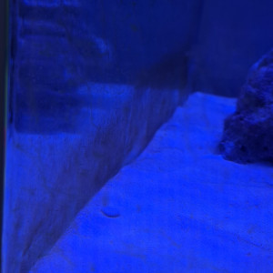 Publication de Guiguidu57